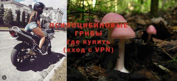 СК Навашино