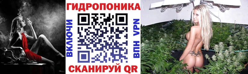 где купить наркотик  Старый Крым  blacksprut маркетплейс  Шишки марихуана индика 